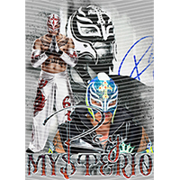 idol singer-GS  2446